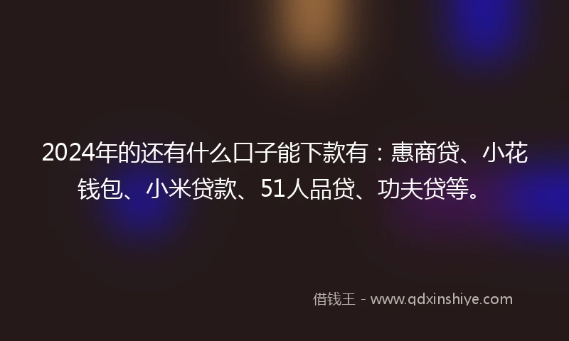 2024年的还有什么口子能下款有：惠商贷、小花钱包、小米贷款、51人品贷、功夫贷等。