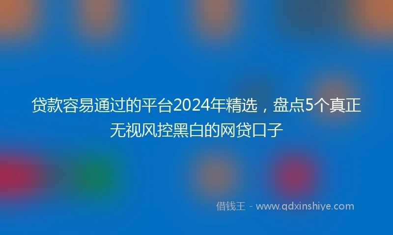 贷款容易通过的平台2024年精选，盘点5个真正无视风控黑白的网贷口子