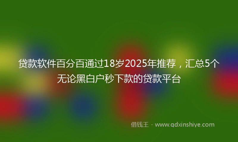 贷款软件百分百通过18岁2025年推荐，汇总5个无论黑白户秒下款的贷款平台