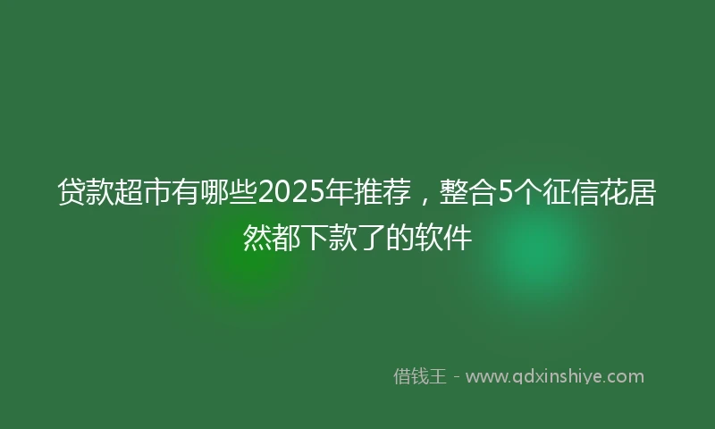 贷款超市有哪些2025年推荐，整合5个征信花居然都下款了的软件