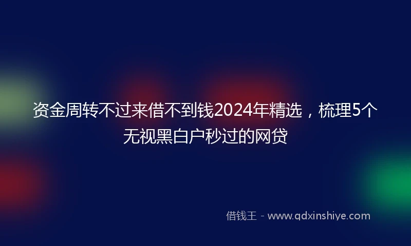 资金周转不过来借不到钱2024年精选，梳理5个无视黑白户秒过的网贷