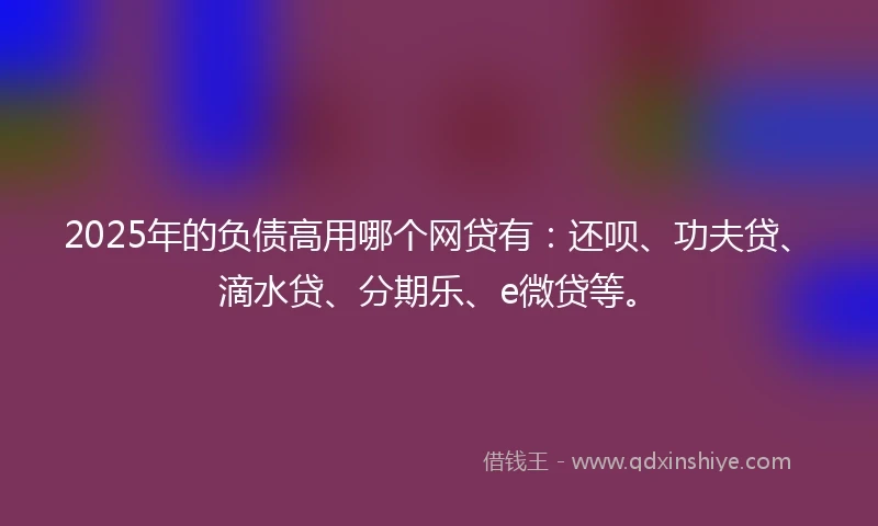 2025年的负债高用哪个网贷有：还呗、功夫贷、滴水贷、分期乐、e微贷等。