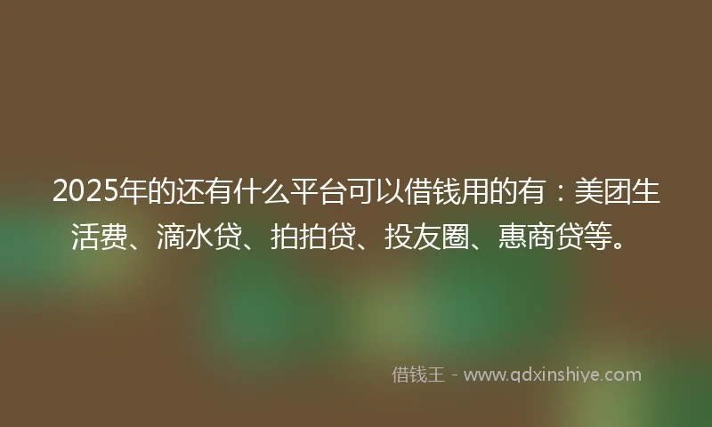 2025年的还有什么平台可以借钱用的有：美团生活费、滴水贷、拍拍贷、投友圈、惠商贷等。