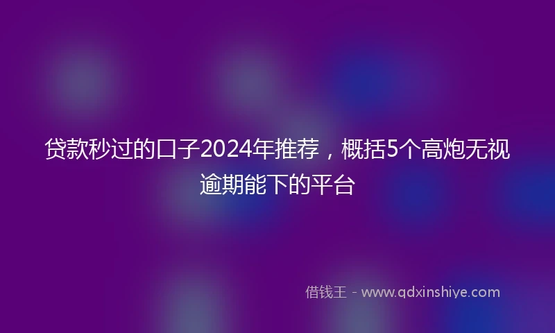 贷款秒过的口子2024年推荐，概括5个高炮无视逾期能下的平台