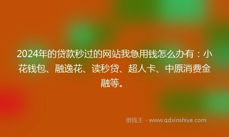 2024年的贷款秒过的网站我急用钱怎么办有：小花钱包、融逸花、读秒贷、超人卡、中原消费金融等。