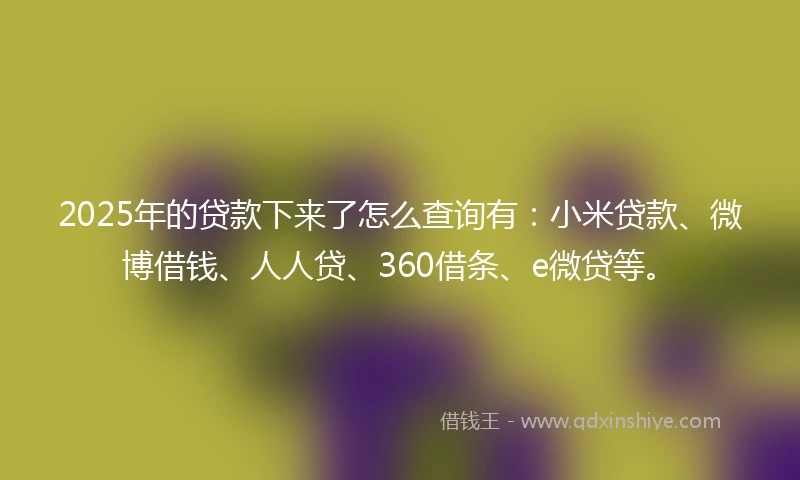 2025年的贷款下来了怎么查询有：小米贷款、微博借钱、人人贷、360借条、e微贷等。