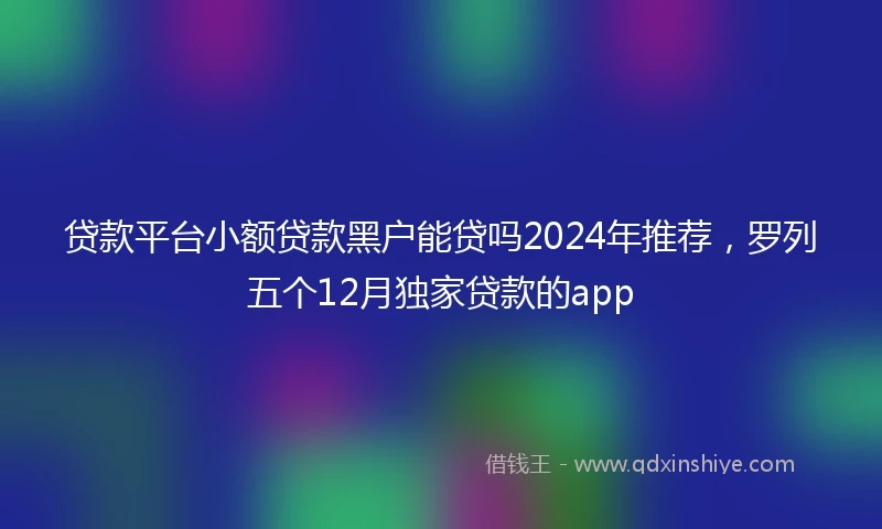 贷款平台小额贷款黑户能贷吗2024年推荐，罗列五个12月独家贷款的app