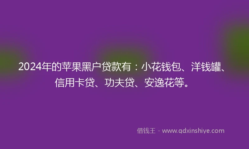 2024年的苹果黑户贷款有：小花钱包、洋钱罐、信用卡贷、功夫贷、安逸花等。