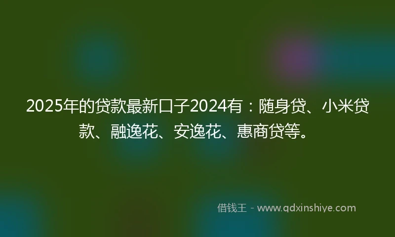 2025年的贷款最新口子2024有：随身贷、小米贷款、融逸花、安逸花、惠商贷等。