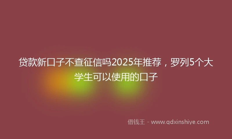 贷款新口子不查征信吗2025年推荐，罗列5个大学生可以使用的口子