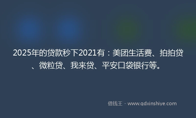 2025年的贷款秒下2021有：美团生活费、拍拍贷、微粒贷、我来贷、平安口袋银行等。
