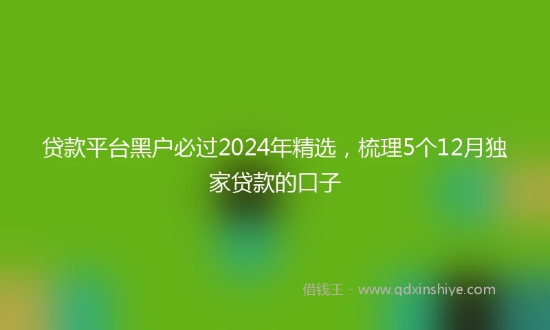 贷款平台黑户必过2024年精选，梳理5个12月独家贷款的口子