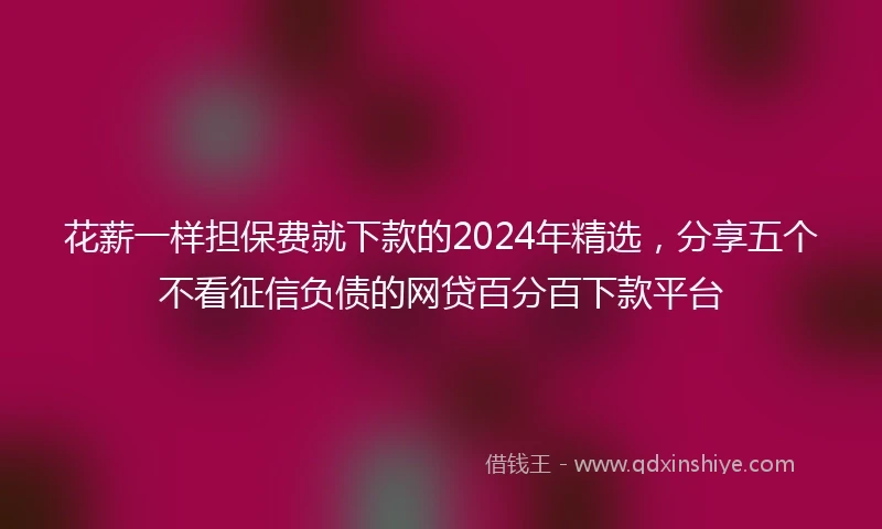 花薪一样担保费就下款的2024年精选，分享五个不看征信负债的网贷百分百下款平台