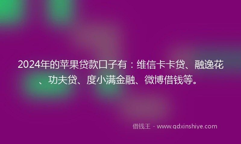 2024年的苹果贷款口子有：维信卡卡贷、融逸花、功夫贷、度小满金融、微博借钱等。
