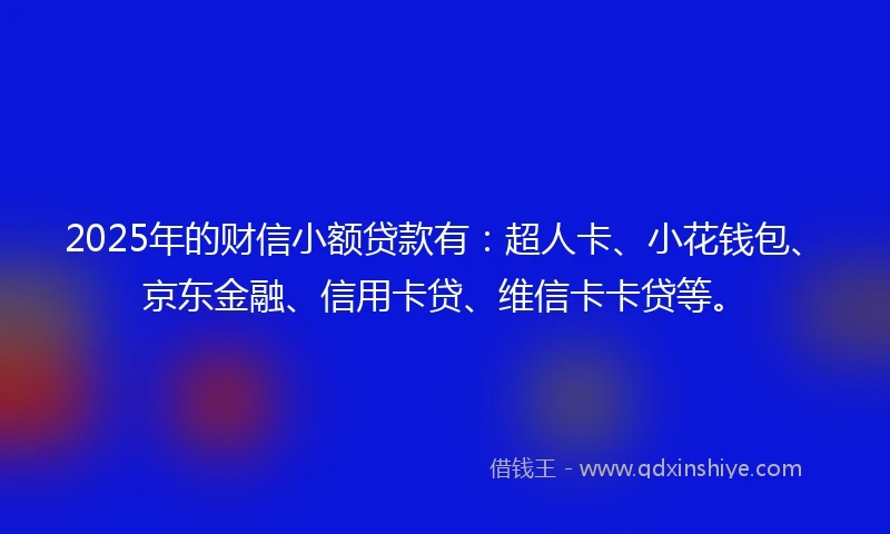 2025年的财信小额贷款有：超人卡、小花钱包、京东金融、信用卡贷、维信卡卡贷等。