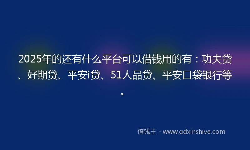 2025年的还有什么平台可以借钱用的有：功夫贷、好期贷、平安i贷、51人品贷、平安口袋银行等。