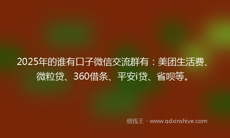 2025年的谁有口子微信交流群有：美团生活费、微粒贷、360借条、平安i贷、省呗等。