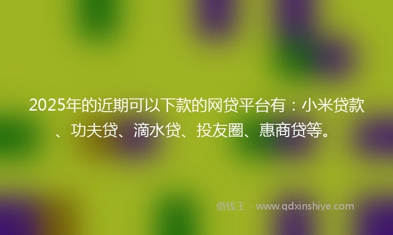 2025年的近期可以下款的网贷平台有：小米贷款、功夫贷、滴水贷、投友圈、惠商贷等。