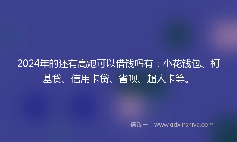 2024年的还有高炮可以借钱吗有：小花钱包、柯基贷、信用卡贷、省呗、超人卡等。
