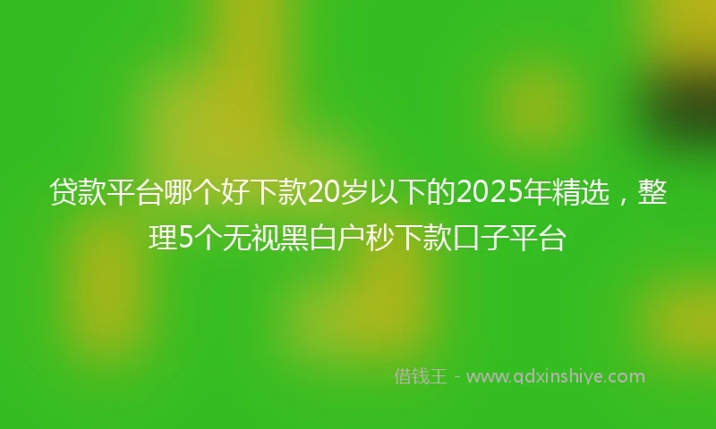 贷款平台哪个好下款20岁以下的2025年精选，整理5个无视黑白户秒下款口子平台