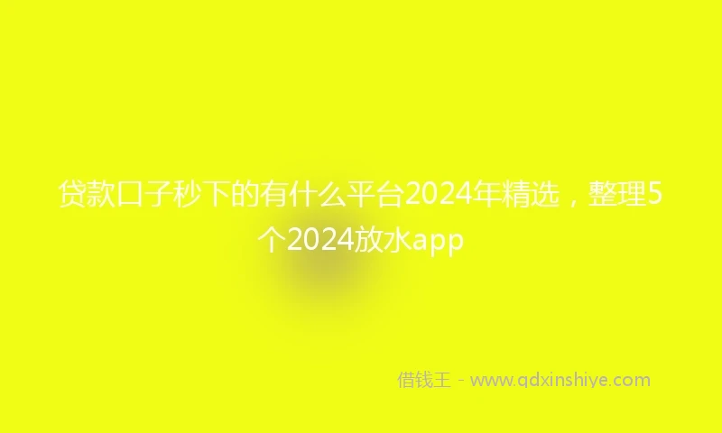 贷款口子秒下的有什么平台2024年精选，整理5个2024放水app
