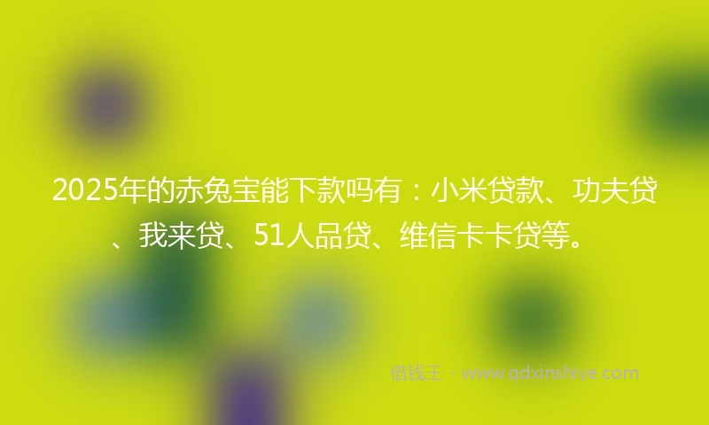 2025年的赤兔宝能下款吗有:小米贷款、功夫贷、我来贷、51人品贷、维信卡卡贷等。