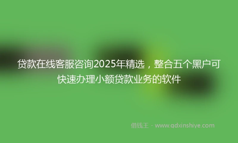 贷款在线客服咨询2025年精选，整合五个黑户可快速办理小额贷款业务的软件