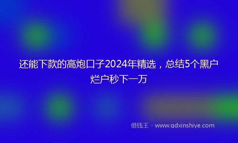还能下款的高炮口子2024年精选，总结5个黑户烂户秒下一万