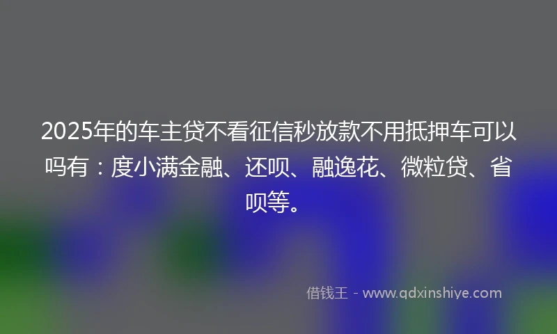 2025年的车主贷不看征信秒放款不用抵押车可以吗有：度小满金融、还呗、融逸花、微粒贷、省呗等。