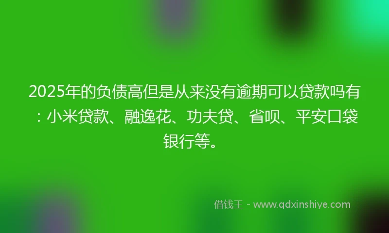 2025年的负债高但是从来没有逾期可以贷款吗有：小米贷款、融逸花、功夫贷、省呗、平安口袋银行等。