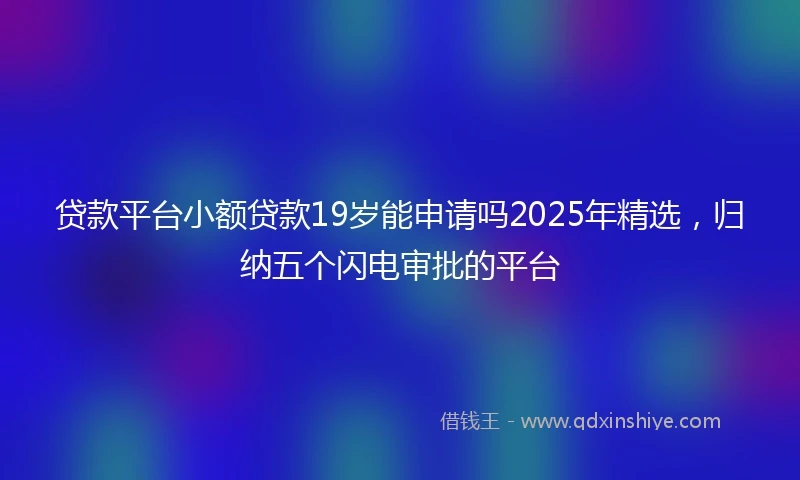 贷款平台小额贷款19岁能申请吗2025年精选，归纳五个闪电审批的平台