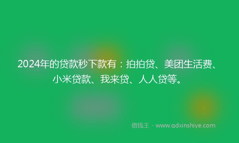 2024年的贷款秒下款有：拍拍贷、美团生活费、小米贷款、我来贷、人人贷等。