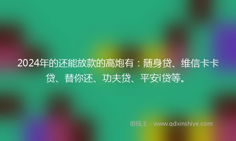 2024年的还能放款的高炮有：随身贷、维信卡卡贷、替你还、功夫贷、平安i贷等。
