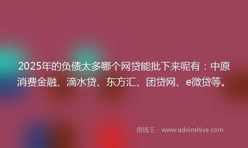 2025年的负债太多哪个网贷能批下来呢有：中原消费金融、滴水贷、东方汇、团贷网、e微贷等。