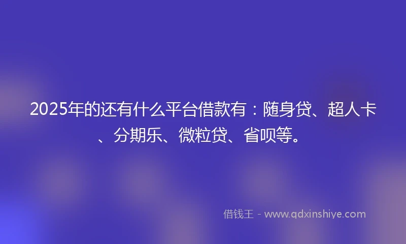 2025年的还有什么平台借款有：随身贷、超人卡、分期乐、微粒贷、省呗等。