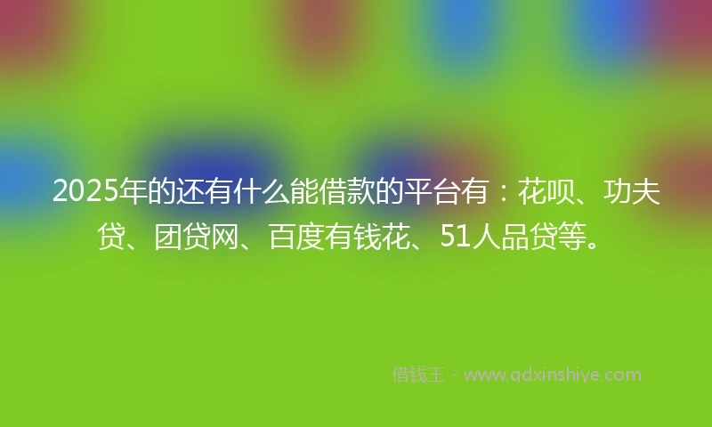 2025年的还有什么能借款的平台有：花呗、功夫贷、团贷网、百度有钱花、51人品贷等。
