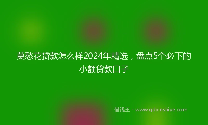 莫愁花贷款怎么样2024年精选，盘点5个必下的小额贷款口子