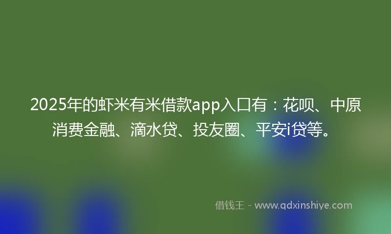 2025年的虾米有米借款app入口有：花呗、中原消费金融、滴水贷、投友圈、平安i贷等。