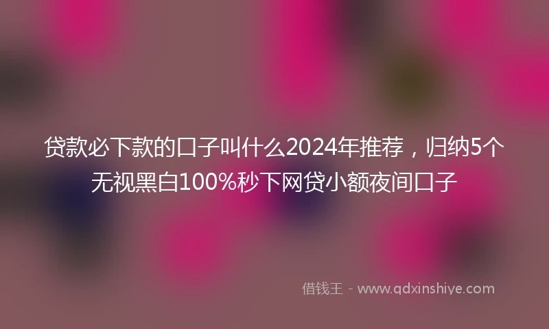 贷款必下款的口子叫什么2024年推荐，归纳5个无视黑白100%秒下网贷小额夜间口子
