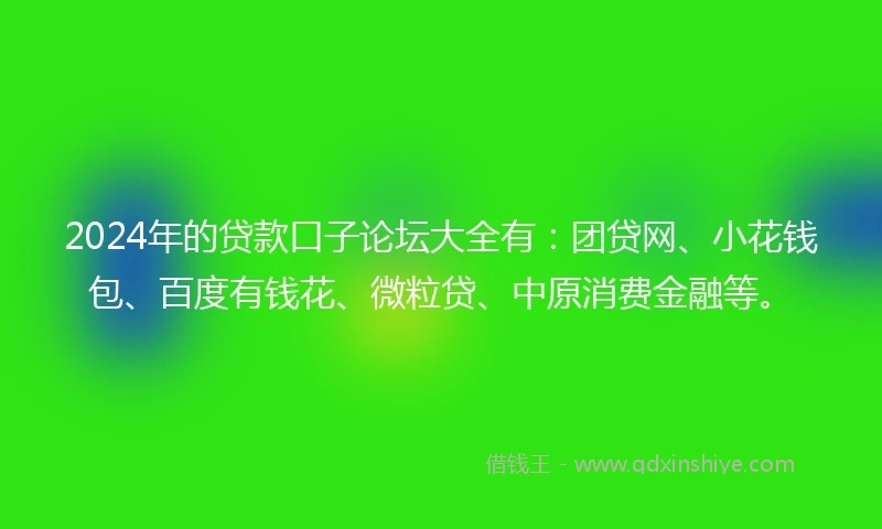 2024年的贷款口子论坛大全有：团贷网、小花钱包、百度有钱花、微粒贷、中原消费金融等。