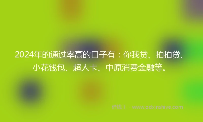 2024年的通过率高的口子有：你我贷、拍拍贷、小花钱包、超人卡、中原消费金融等。