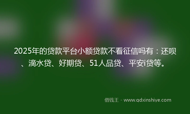 2025年的贷款平台小额贷款不看征信吗有：还呗、滴水贷、好期贷、51人品贷、平安i贷等。