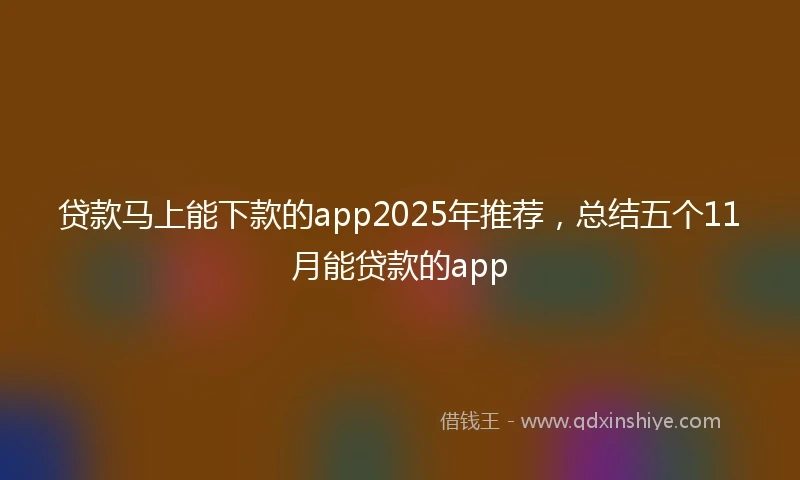 贷款马上能下款的app2025年推荐,总结五个11月能贷款的app