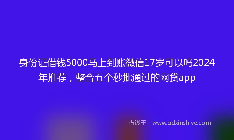身份证借钱5000马上到账微信17岁可以吗2024年推荐，整合五个秒批通过的网贷app