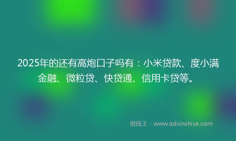 2025年的还有高炮口子吗有：小米贷款、度小满金融、微粒贷、快贷通、信用卡贷等。