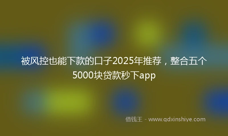 被风控也能下款的口子2025年推荐，整合五个5000块贷款秒下app