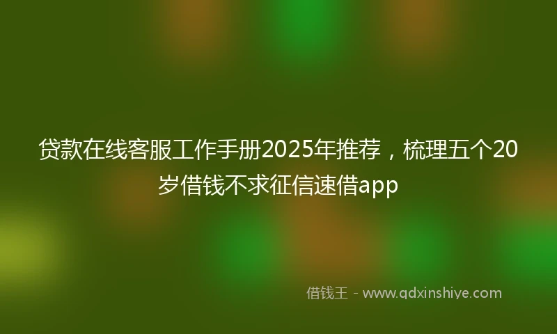 贷款在线客服工作手册2025年推荐，梳理五个20岁借钱不求征信速借app