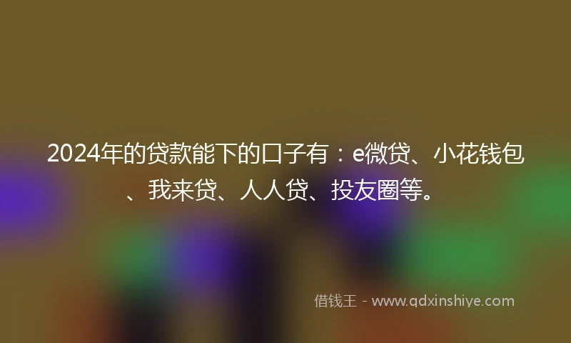 2024年的贷款能下的口子有：e微贷、小花钱包、我来贷、人人贷、投友圈等。
