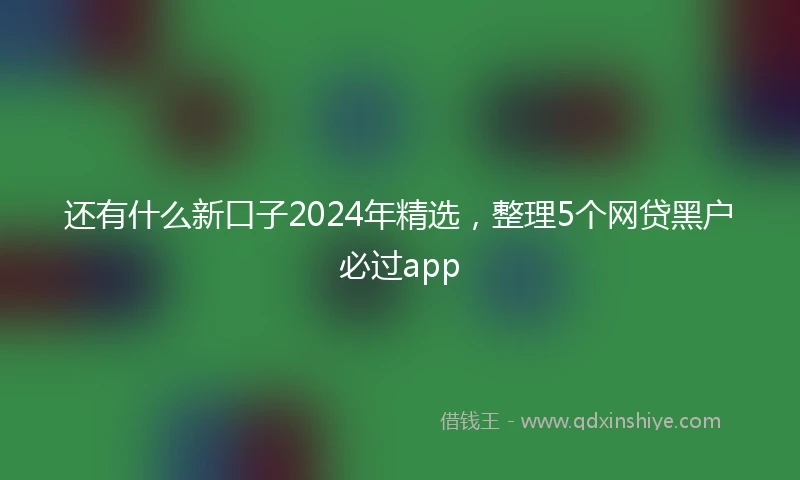 还有什么新口子2024年精选，整理5个网贷黑户必过app