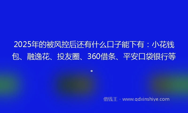 2025年的被风控后还有什么口子能下有：小花钱包、融逸花、投友圈、360借条、平安口袋银行等。
